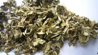 国产艾草视频在线观看,国产艾草视频在线观看，体验传统草药魅力