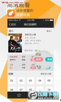 97国产菠萝视频,甜蜜回忆中的热带风情