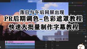 国产vs免费视频下载,视频下载领域的双雄对决