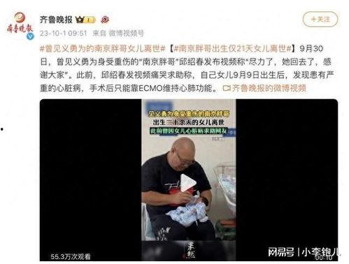 国产大胖哥视频欣赏网站,笑料横生，欢乐无限