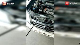 国产车谁最挣钱啊视频,揭秘谁最挣钱