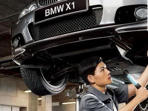 国产豪车保养视频大全集,视频大全集深度解析