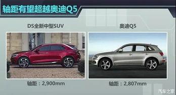 国产车不降价新闻视频