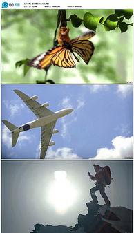 国产蝴蝶直跳视频,惊艳瞬间，捕捉自然之美