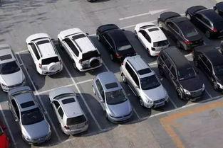 国产车全景停车视频大全,视频大全解析停车难题