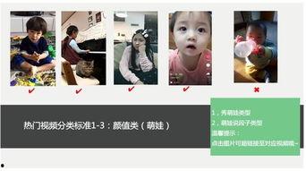 热门国产小视频在线观看,在线观看一网打尽