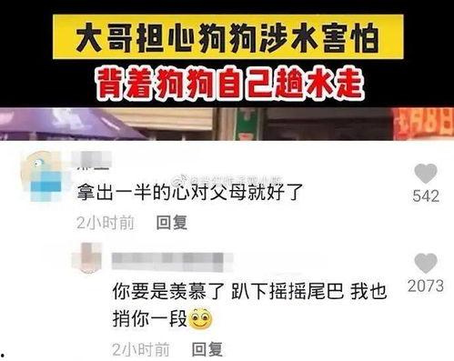 在线视频酒店国产区独家,在线视频平台国产区热门酒店精彩瞬间