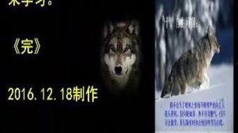 国产狼色视频在线观看,揭秘网络色情内容的隐秘世界  第2张